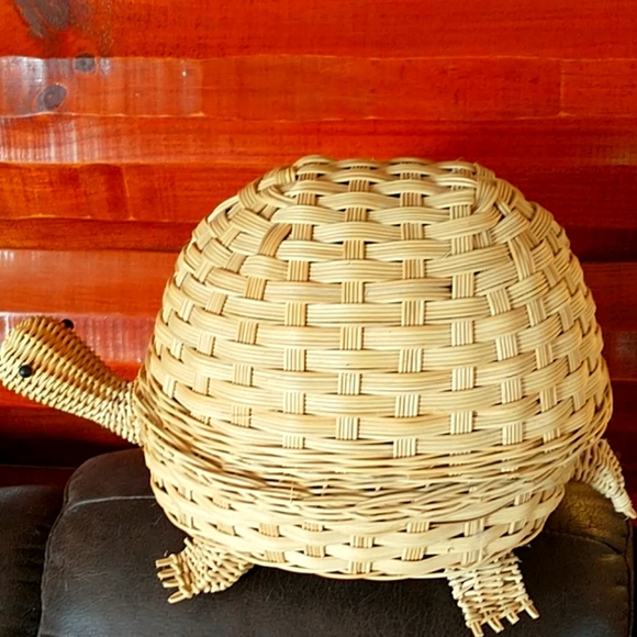 Turtle Basket - Picture 1 of 7